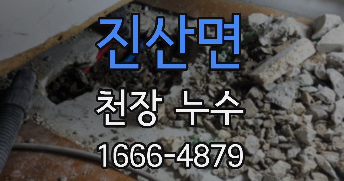 진산면 천장 누수