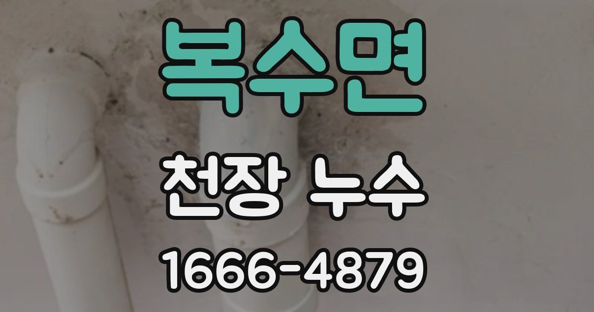 복수면 천장 누수