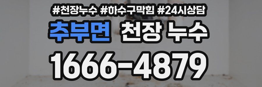 추부면 천장 누수