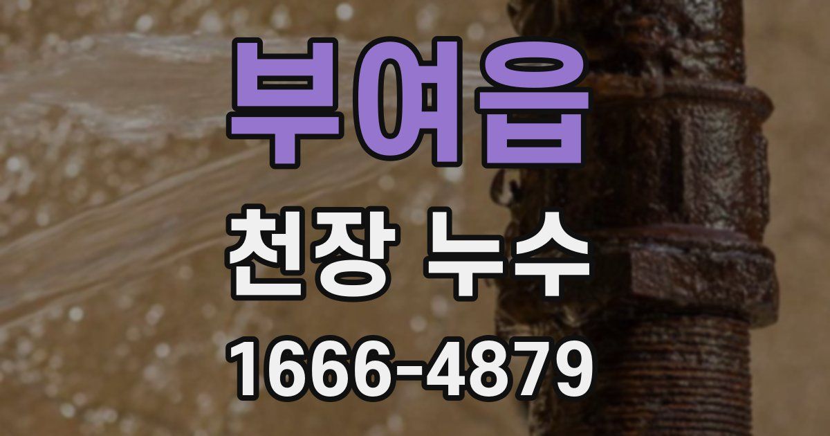 부여읍 천장 누수