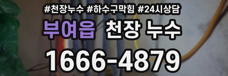 부여읍 천장 누수