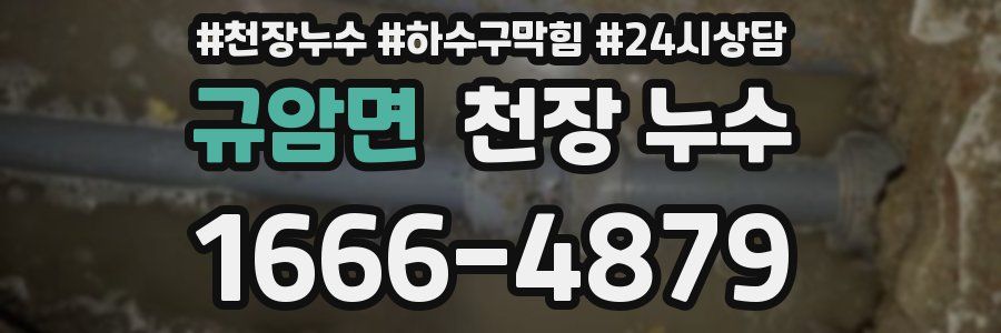 규암면 천장 누수