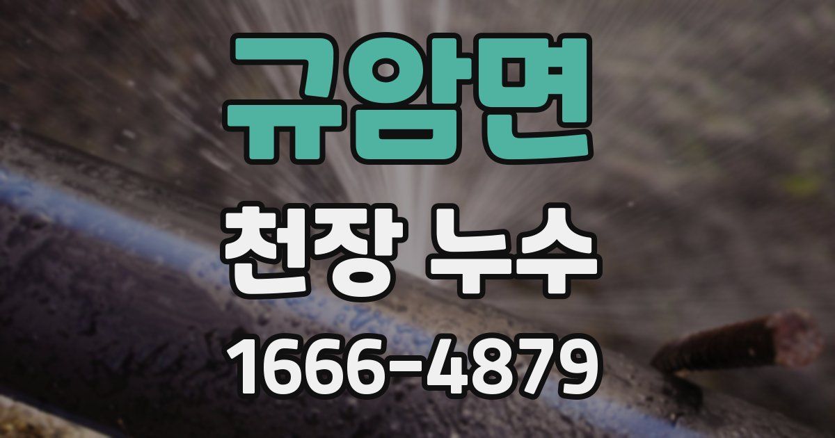 규암면 천장 누수