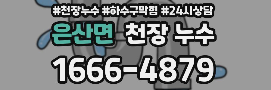 은산면 천장 누수