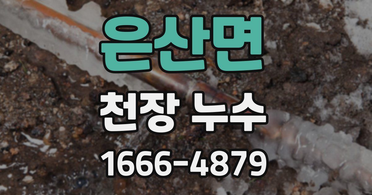 은산면 천장 누수
