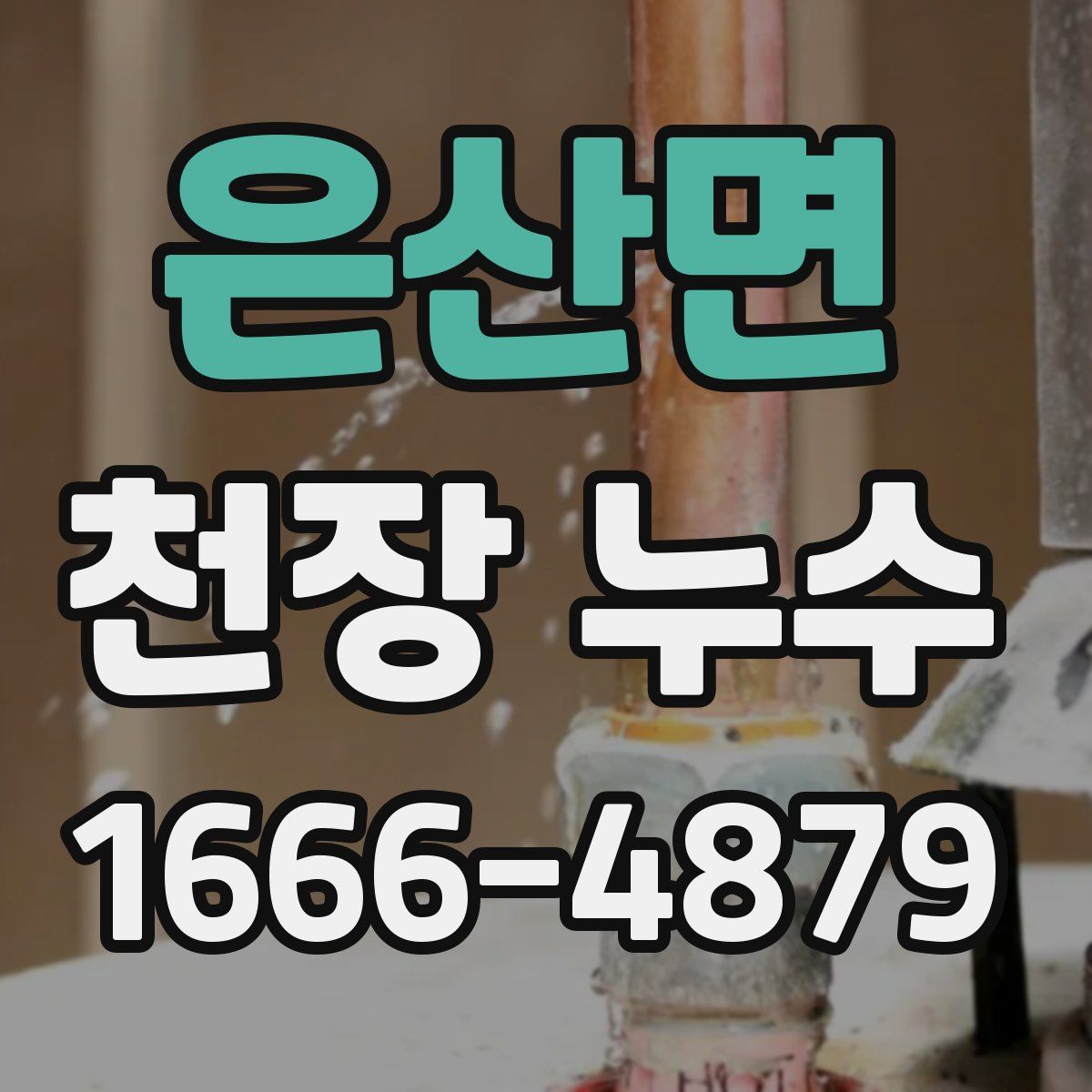 은산면 천장 누수