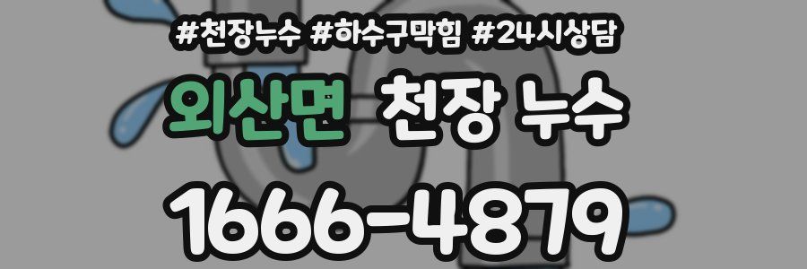 외산면 천장 누수