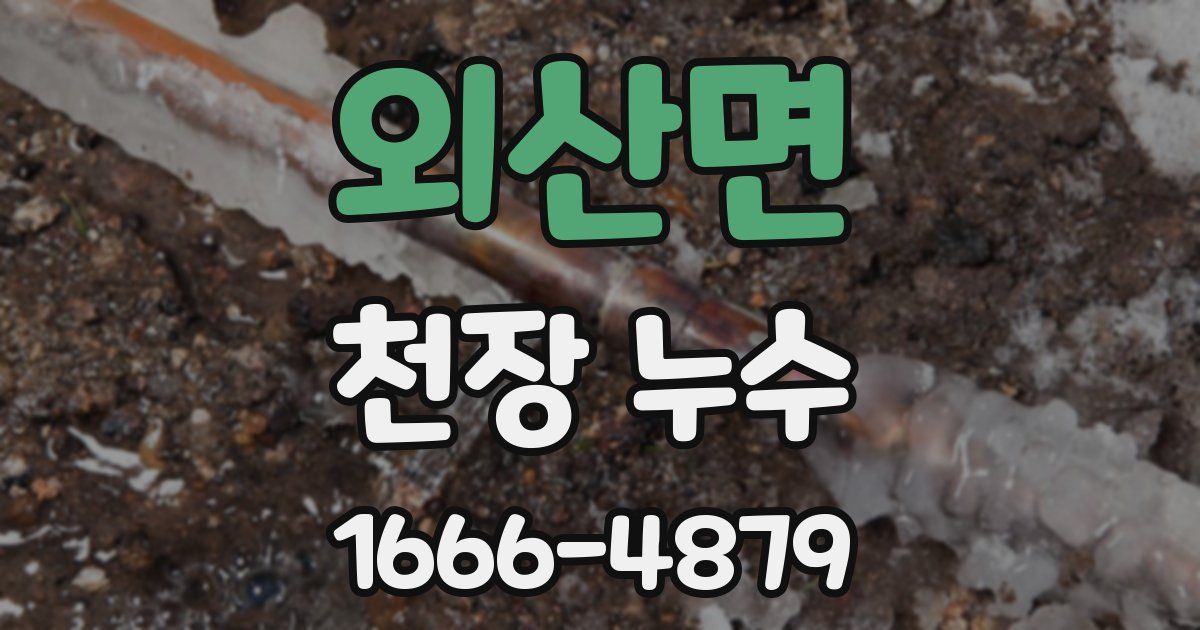 외산면 천장 누수