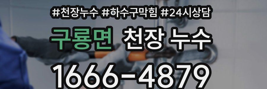 구룡면 천장 누수