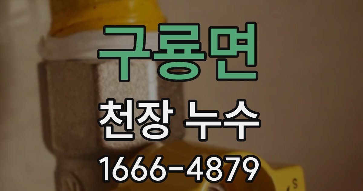 구룡면 천장 누수