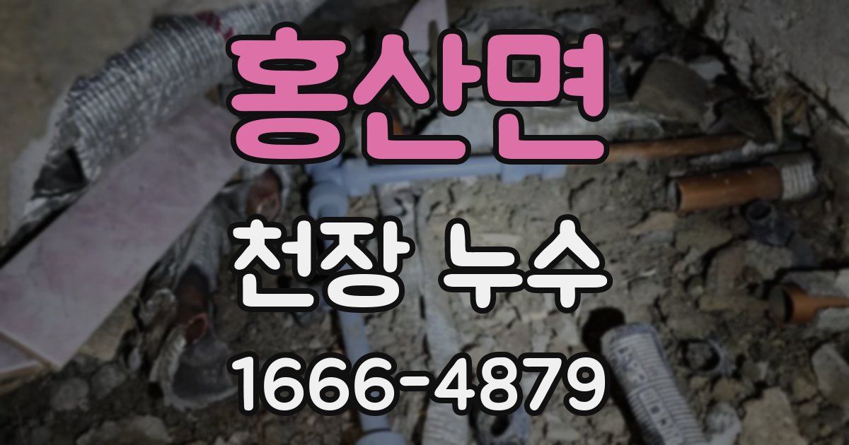 홍산면 천장 누수