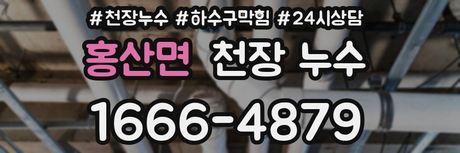 홍산면 천장 누수