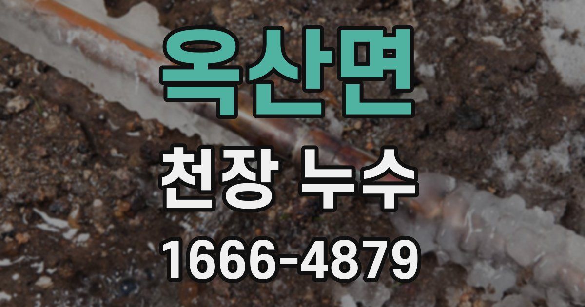 옥산면 천장 누수