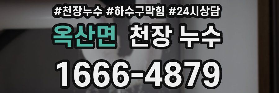 옥산면 천장 누수