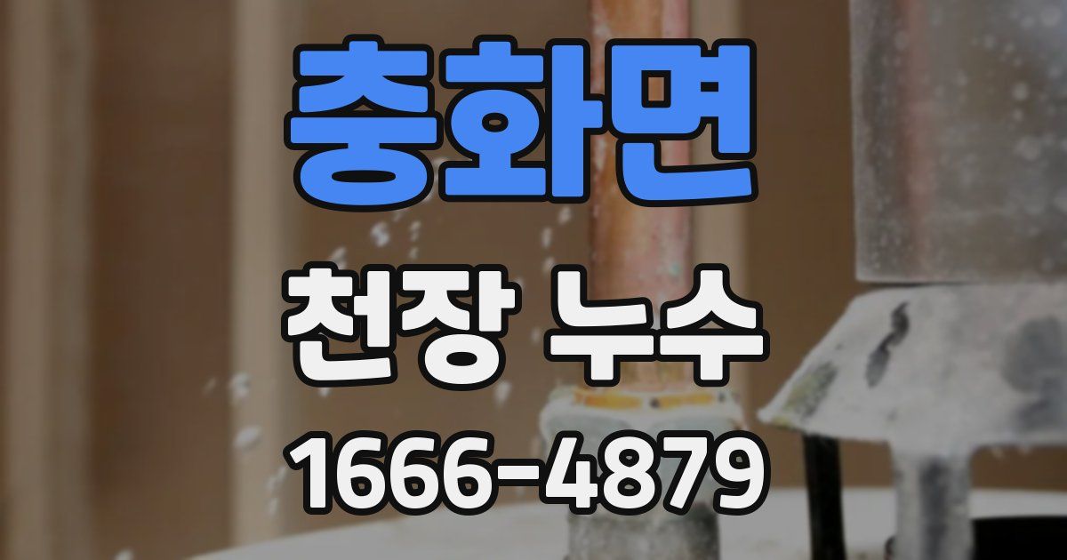 충화면 천장 누수