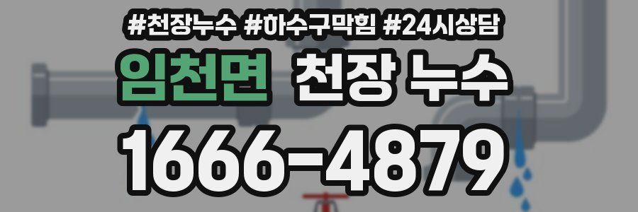 임천면 천장 누수