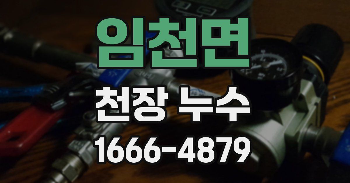 임천면 천장 누수