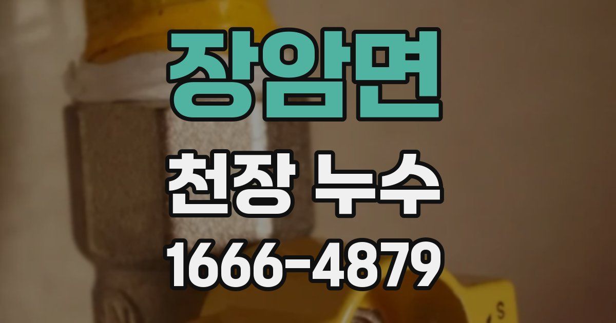 장암면 천장 누수