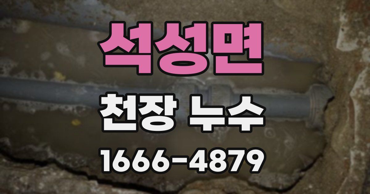 석성면 천장 누수