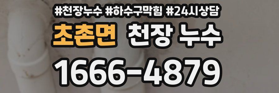 초촌면 천장 누수