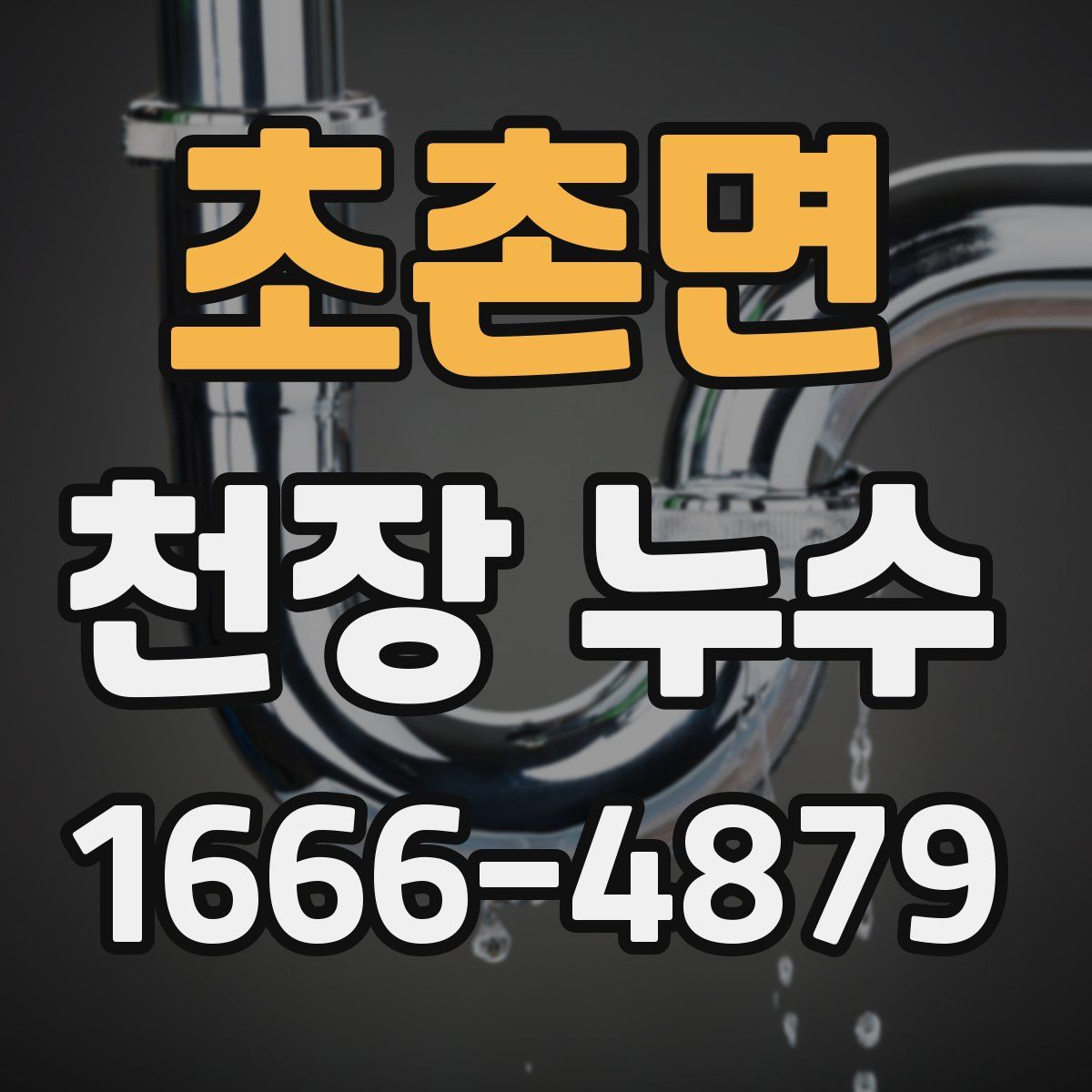 초촌면 천장 누수