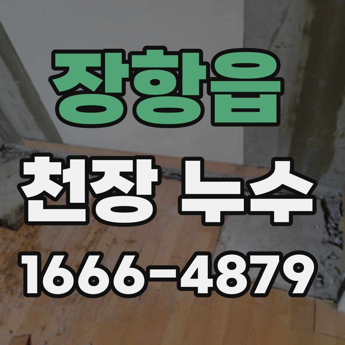 장항읍 천장 누수