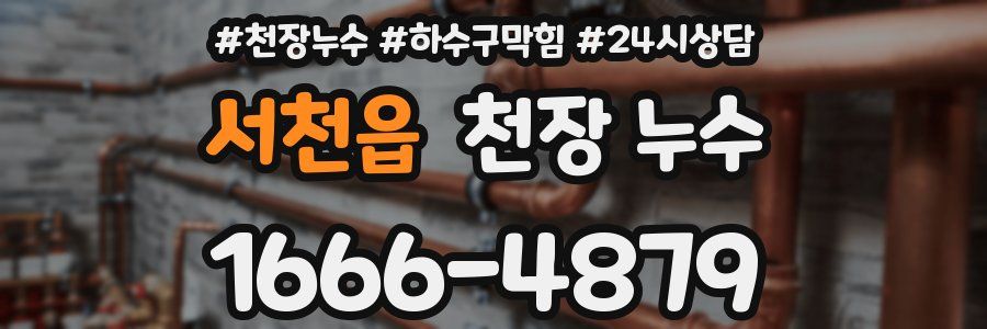 서천읍 천장 누수