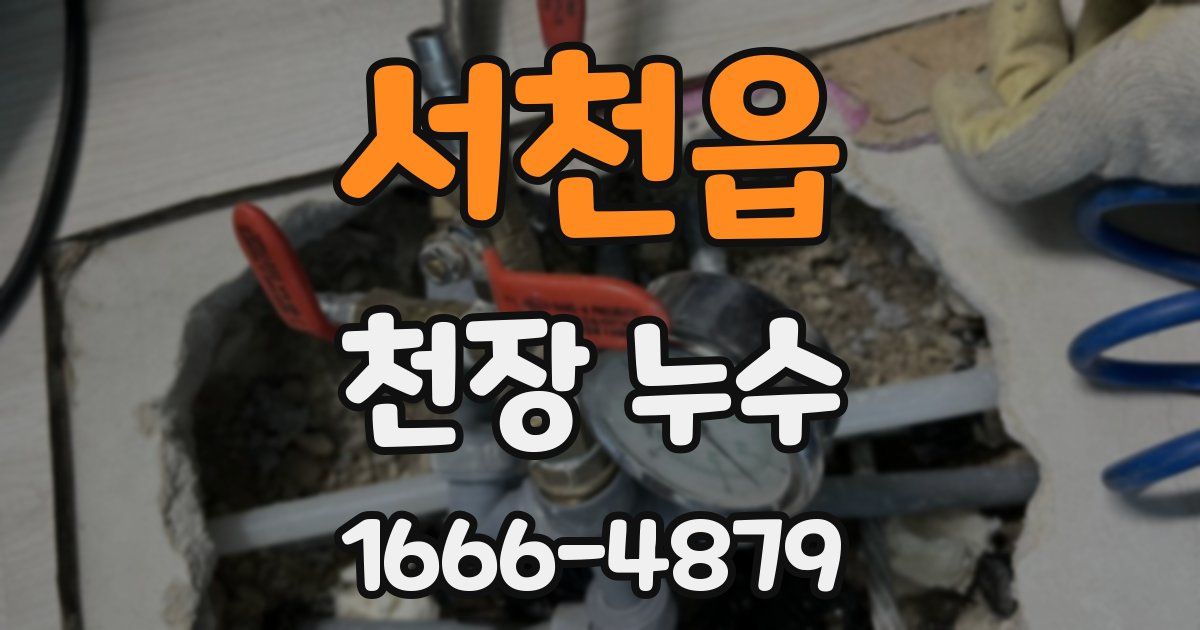서천읍 천장 누수