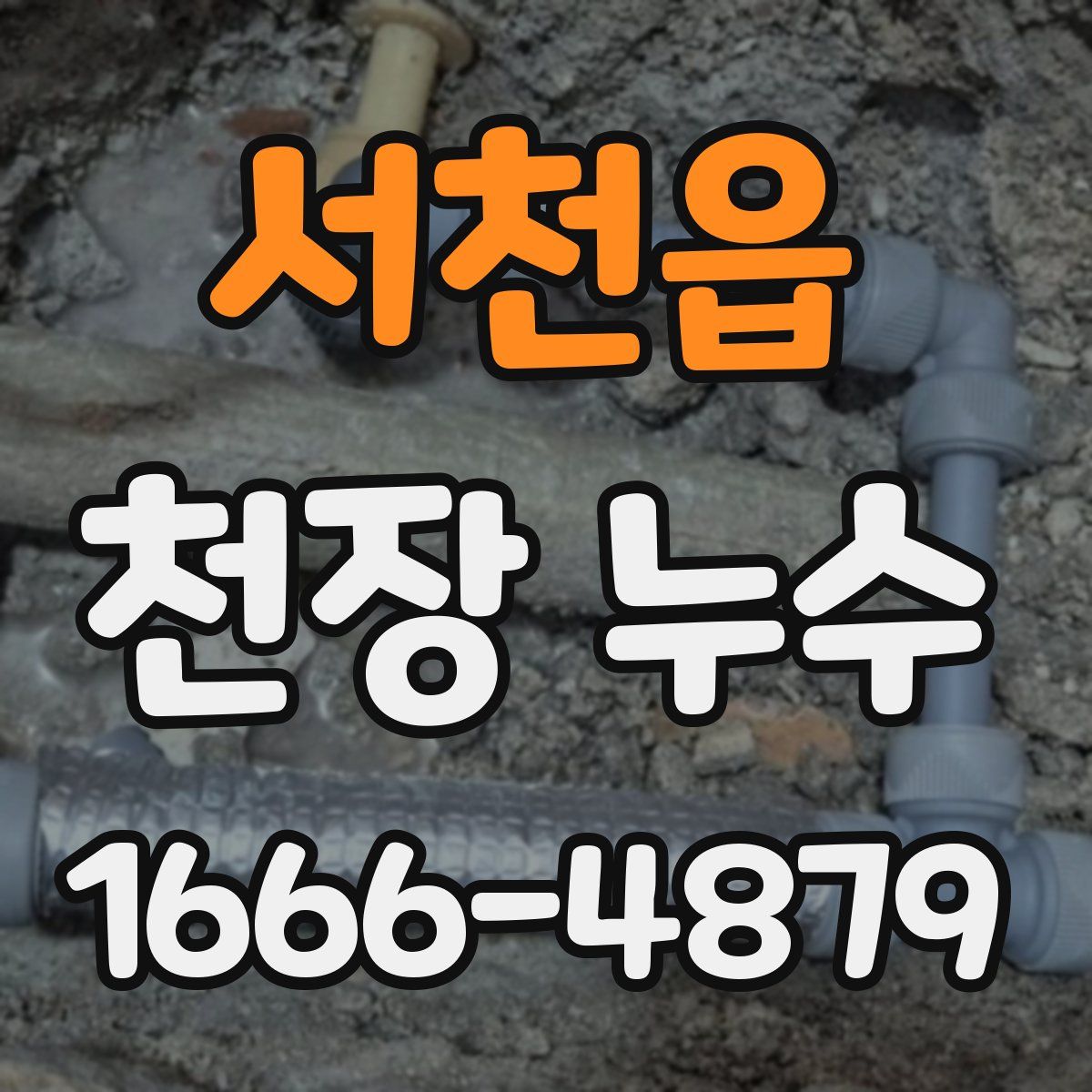 서천읍 천장 누수