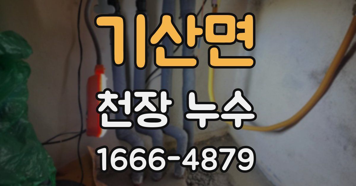 기산면 천장 누수