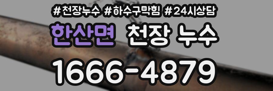 한산면 천장 누수