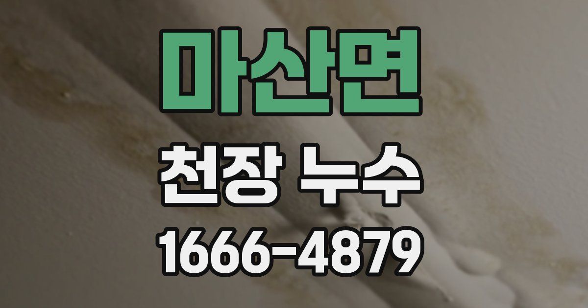 마산면 천장 누수