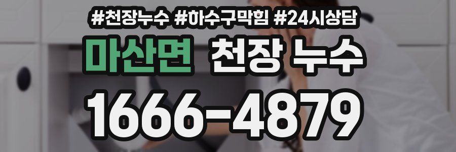 마산면 천장 누수