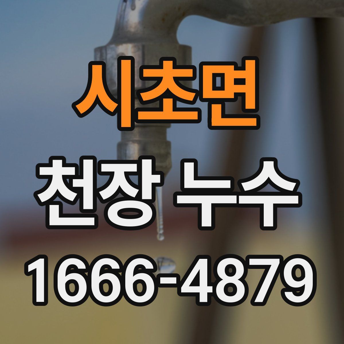 시초면 천장 누수