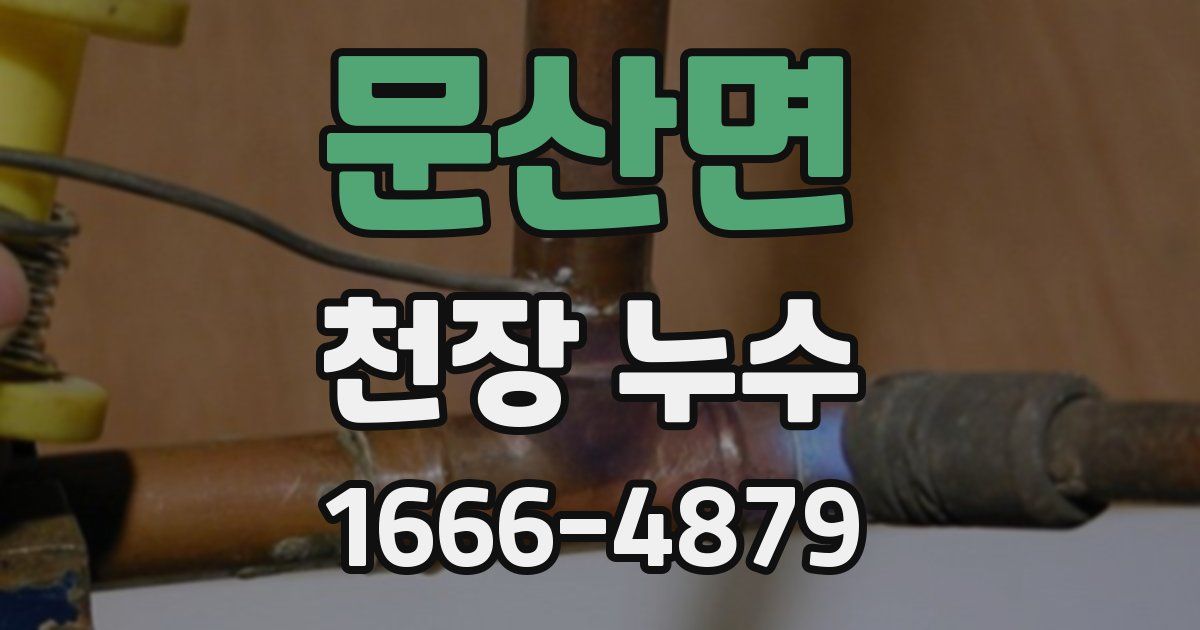 문산면 천장 누수