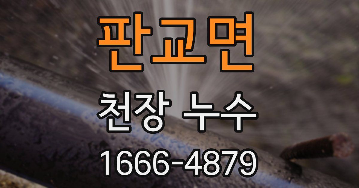 판교면 천장 누수