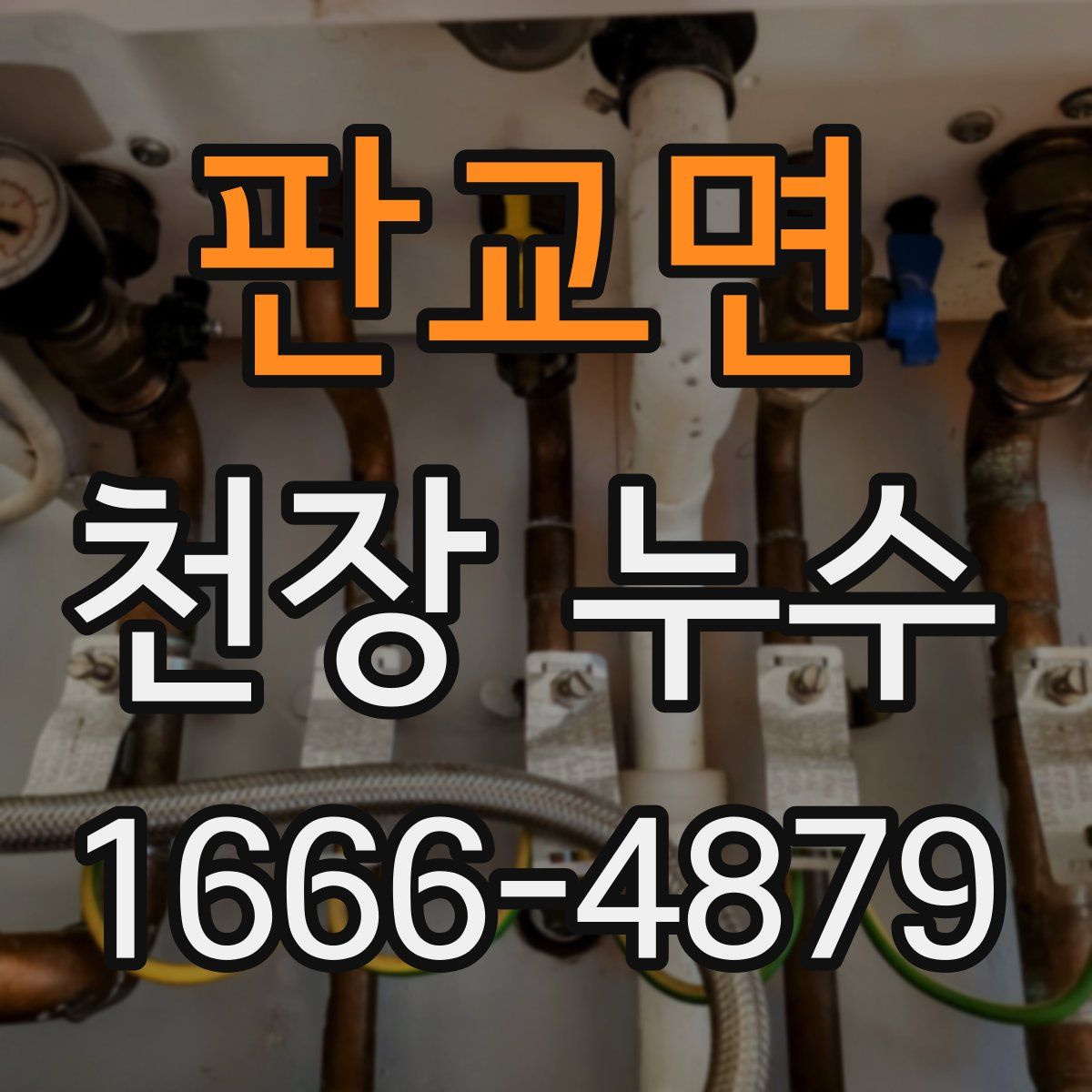 판교면 천장 누수