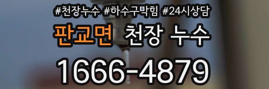 판교면 천장 누수