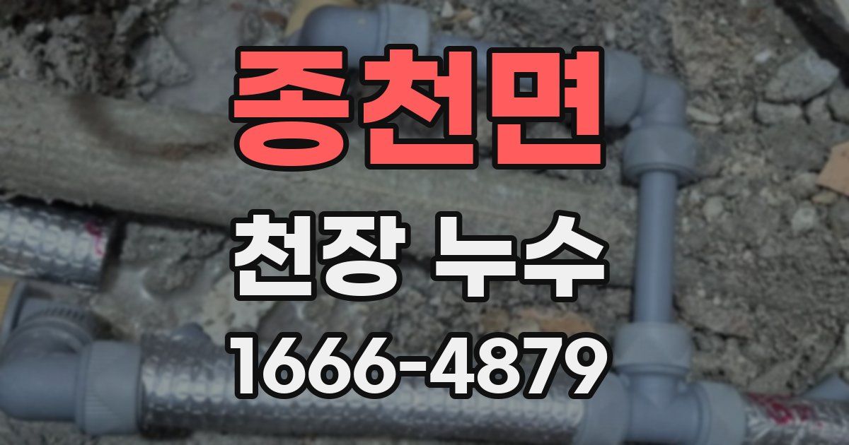 종천면 천장 누수