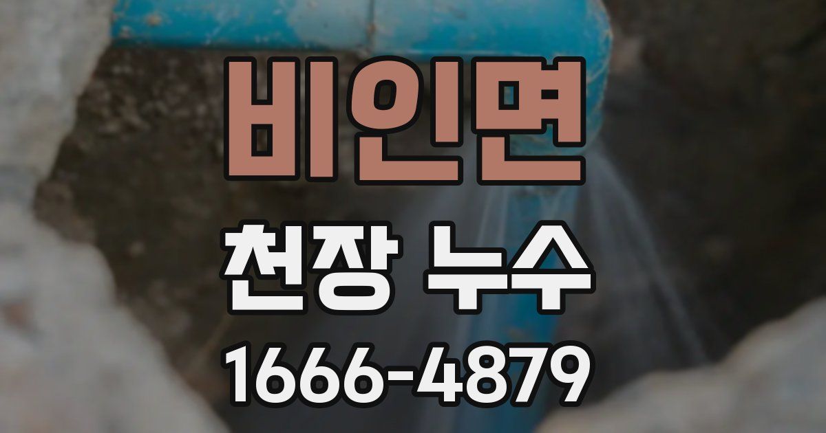 비인면 천장 누수