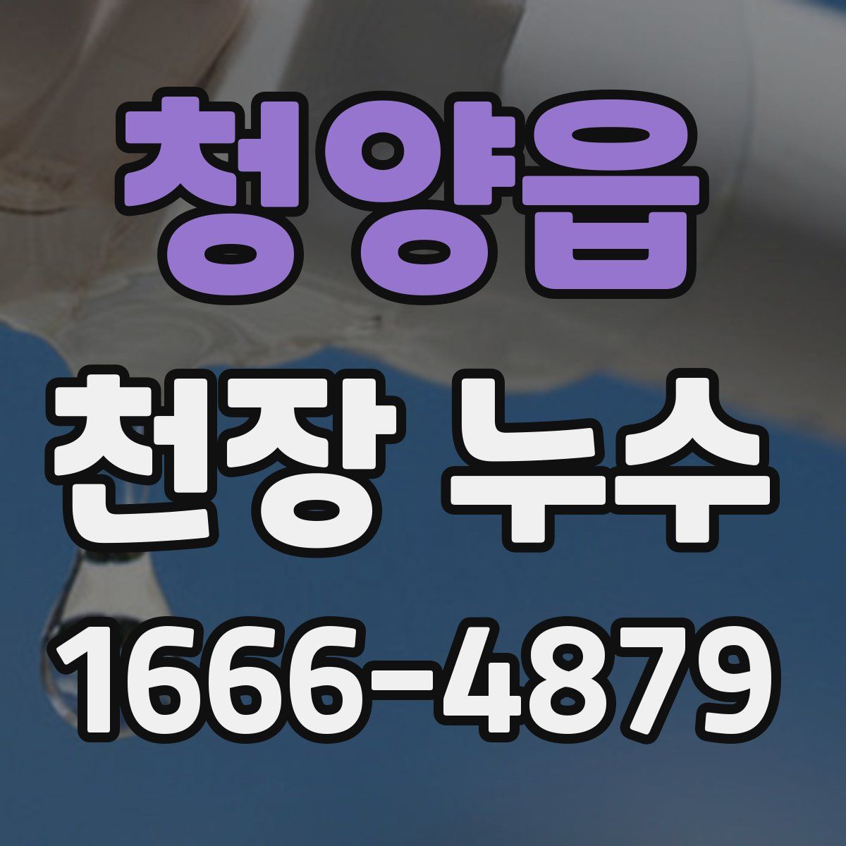 청양읍 천장 누수