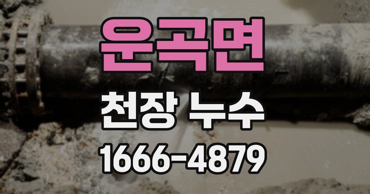 운곡면 천장 누수