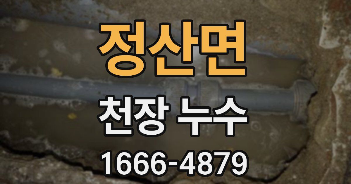 정산면 천장 누수