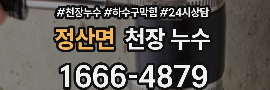 정산면 천장 누수