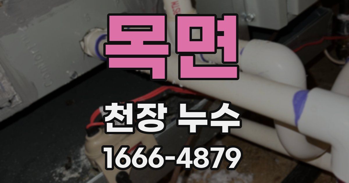 목면 천장 누수