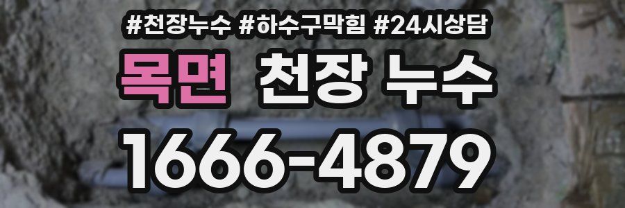 목면 천장 누수