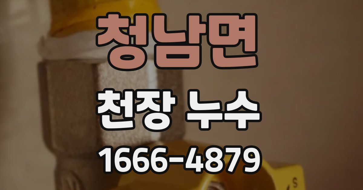 청남면 천장 누수