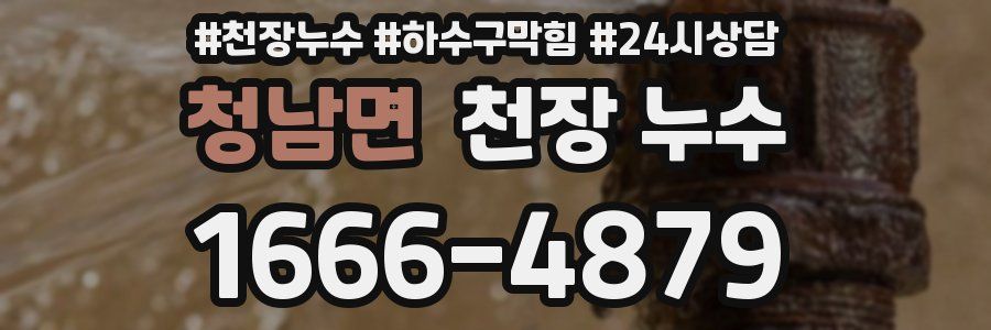 청남면 천장 누수