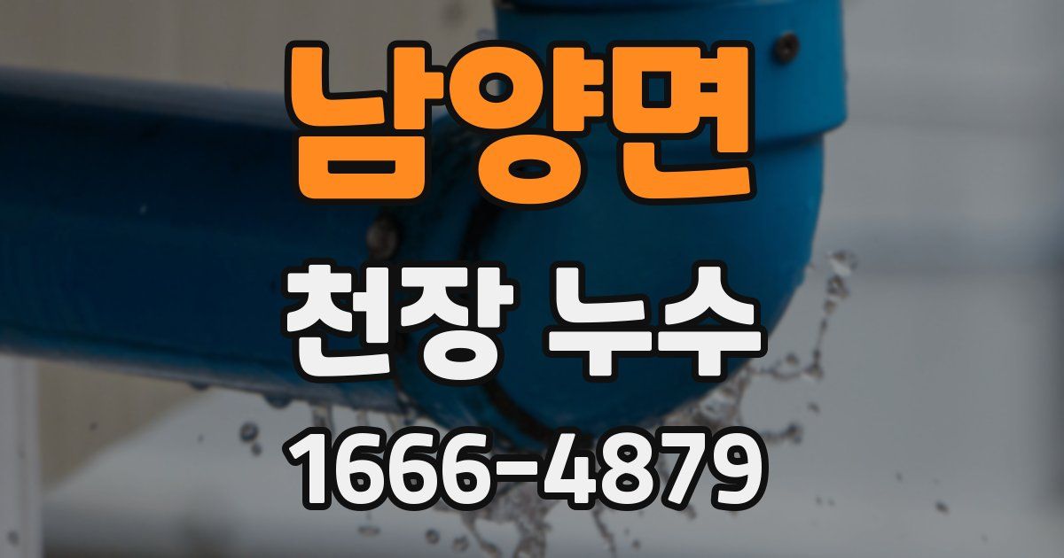 남양면 천장 누수