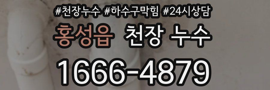 홍성읍 천장 누수